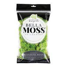 Reindeer Moss
